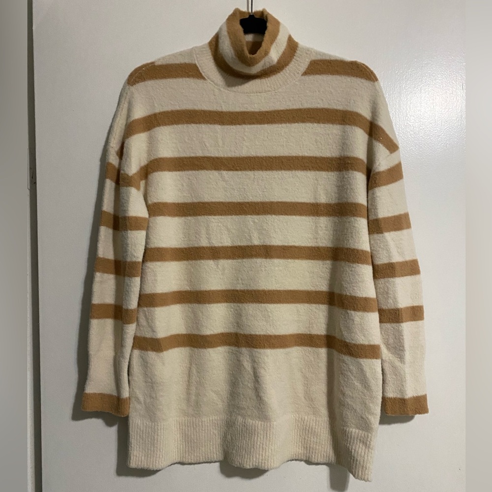 Express Striped Turtleneck Sweater